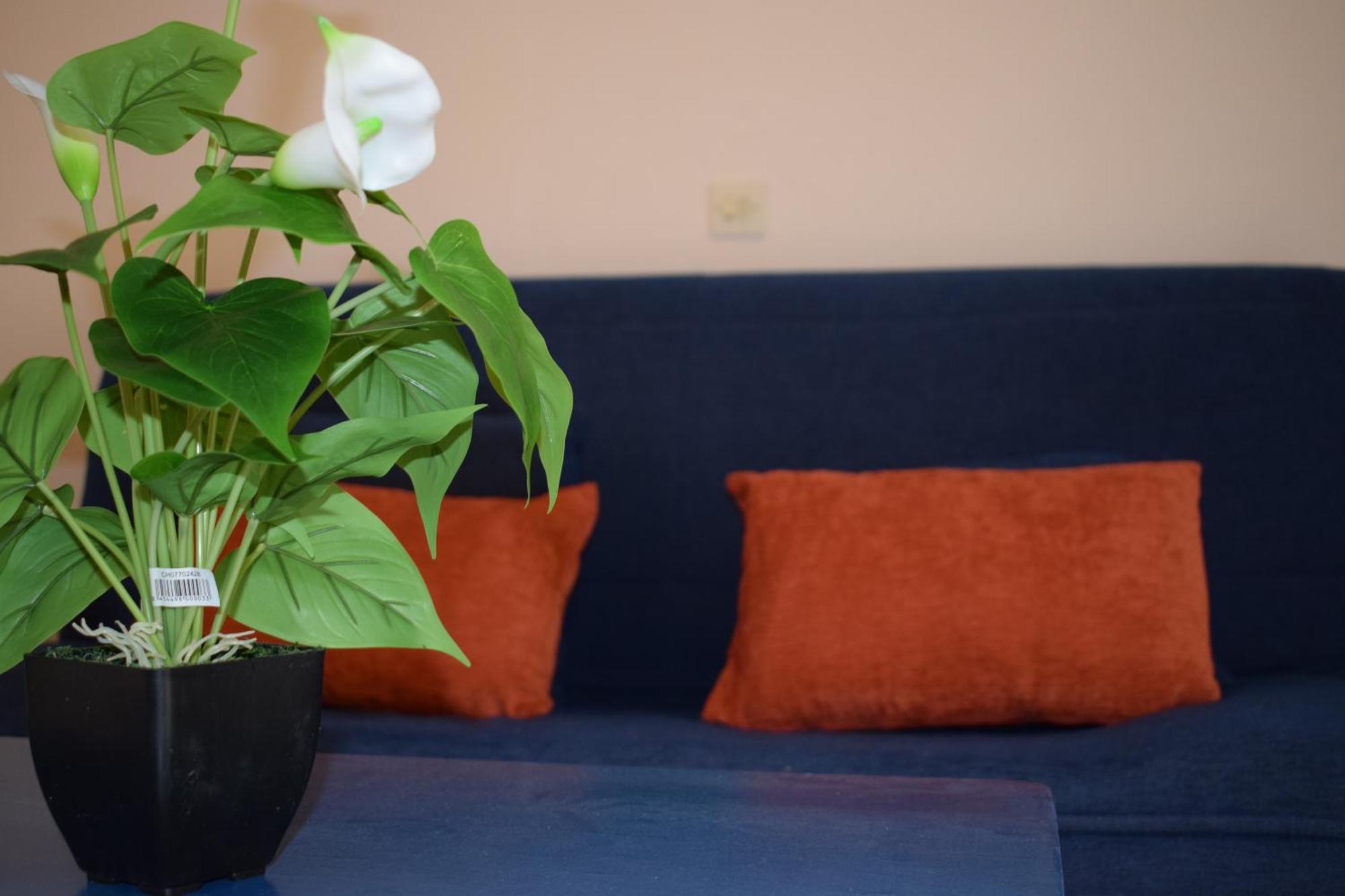 Paradisus Apartments Барбаті Екстер'єр фото